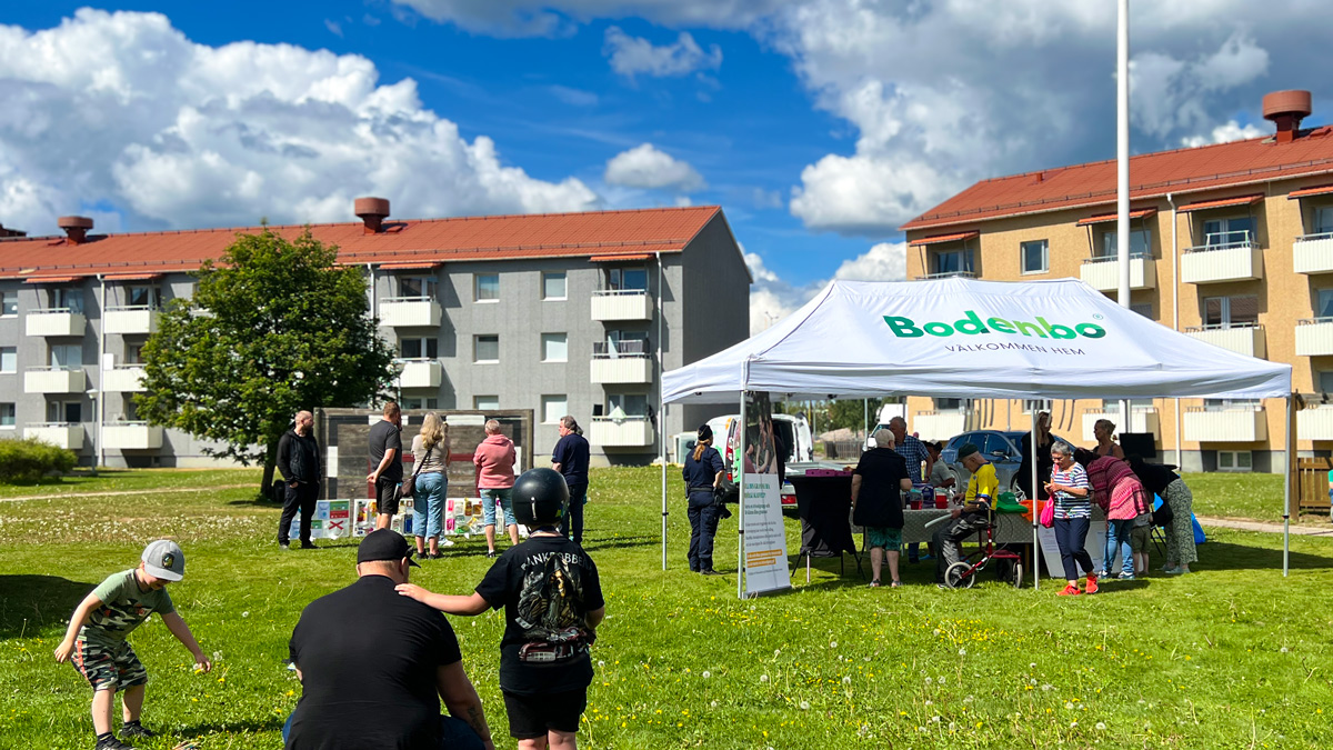 Omradestraff-sommar-2024