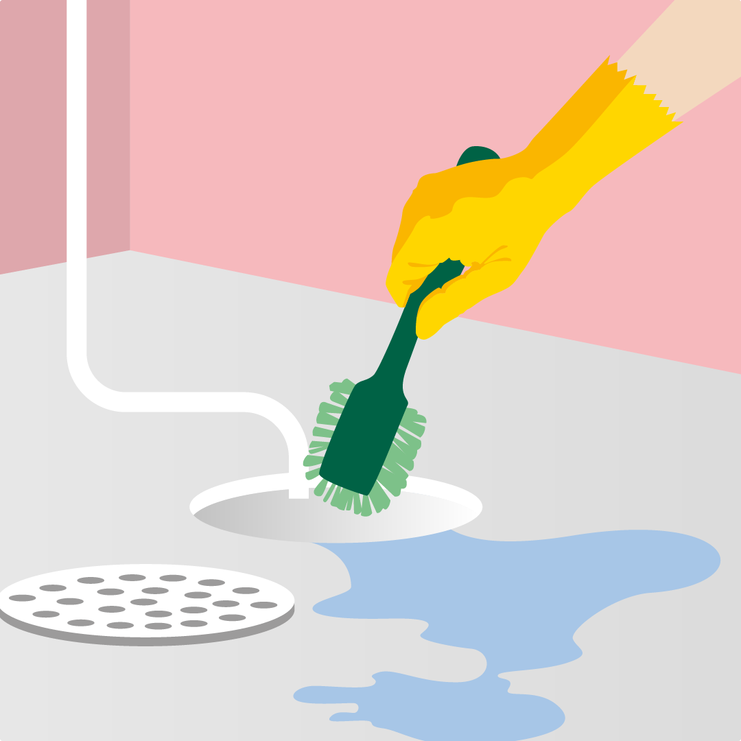 Illustration diskborste golvbrunn